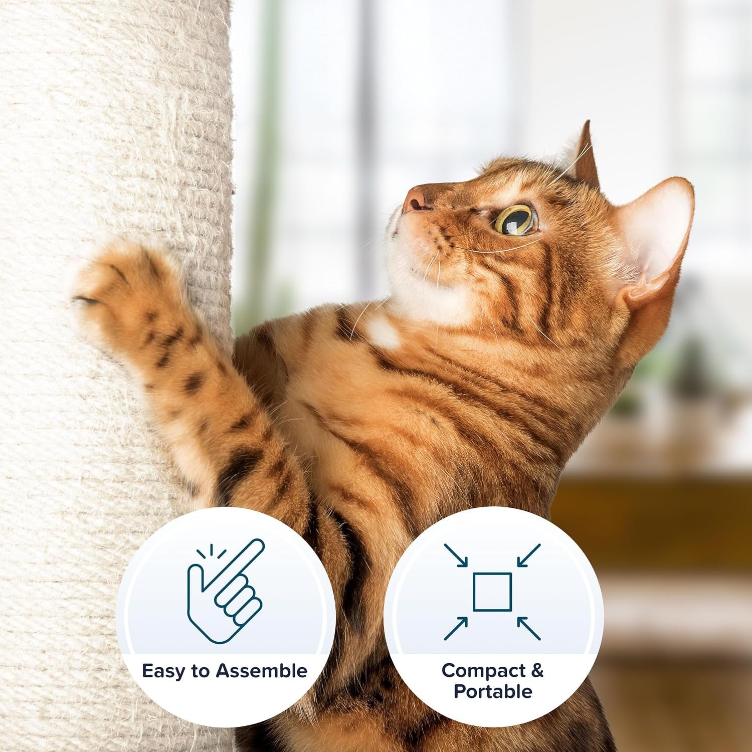 19-inch-cat-scratching-post-with-hammock-sisal-fabric-and-carpet-small-cat-tree-hanging-ball-toy-for-adult-cats-and-kittens-by-petmaker-white
