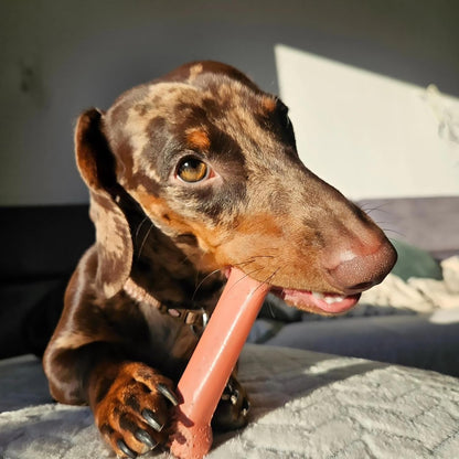Nylabone Power Chew Original Bone Dog Chew Toys, Medium, 2 Count | Chicken and Bacon Flavor, Durable Chew Toys, Discourages Destructive Chewing, Long Lasting, for Dogs up to 35 Pounds2