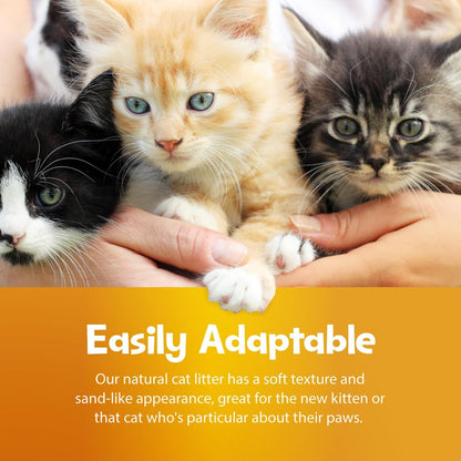 Smartcat All Natural Clumping Cat Litter, 20 Pound (320Oz 1 Pack) - Alternative to Clay and Pellet Litter - Chemical and 99% Dust Free - Unscented and Lightweight6