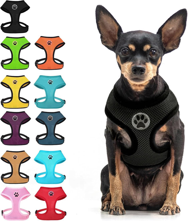 BINGPET Small Dog Harness, No Pull Dog Harness Small Sized Dogs, Soft Light Breathable Mesh Puppy Vest with Safety Buckle-Adjustable Step in Pet Harnesses for Easy Walking, Running, Training16