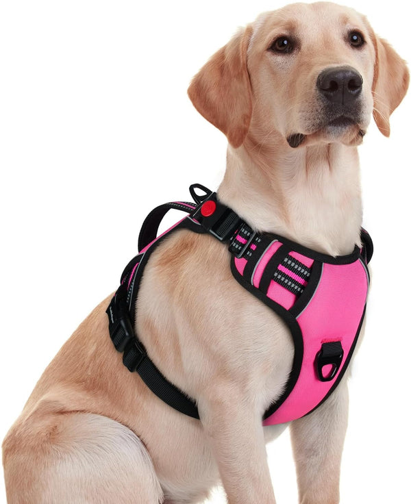 Rabbitgoo Large Dog Harness, Easy Wear with 3 Buckles and Lift Handle | No Pull with Front Clip for Walking, Adjustable Soft Padded, Reflective, Easy Control, Pink, Large25