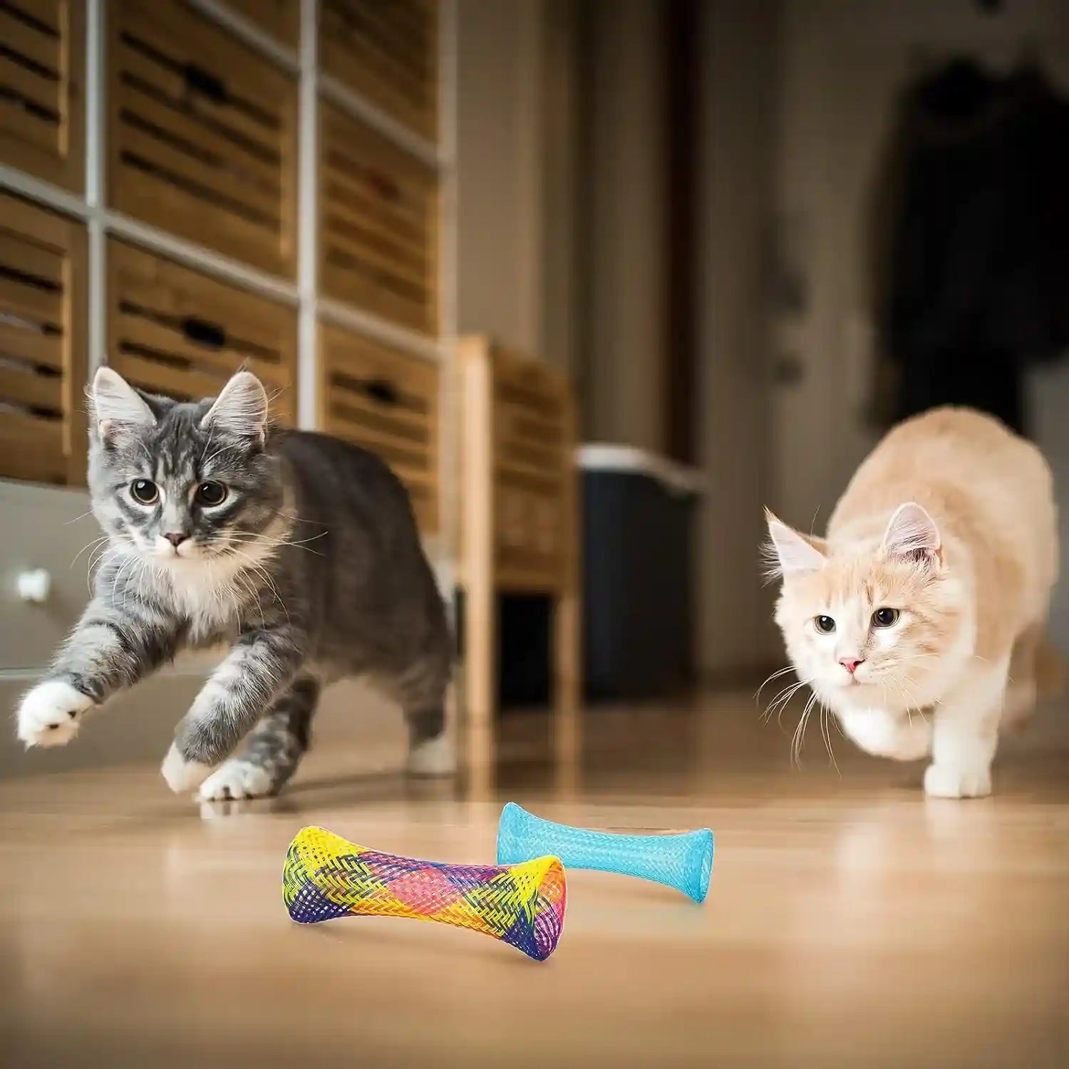 leitee-60-pcs-cat-spring-toys-kitten-tubes-indoor-interactive-chinese-finger-trap-cat-toys-plastic-coil-for-pet-hunt-scratchrandom-colors
