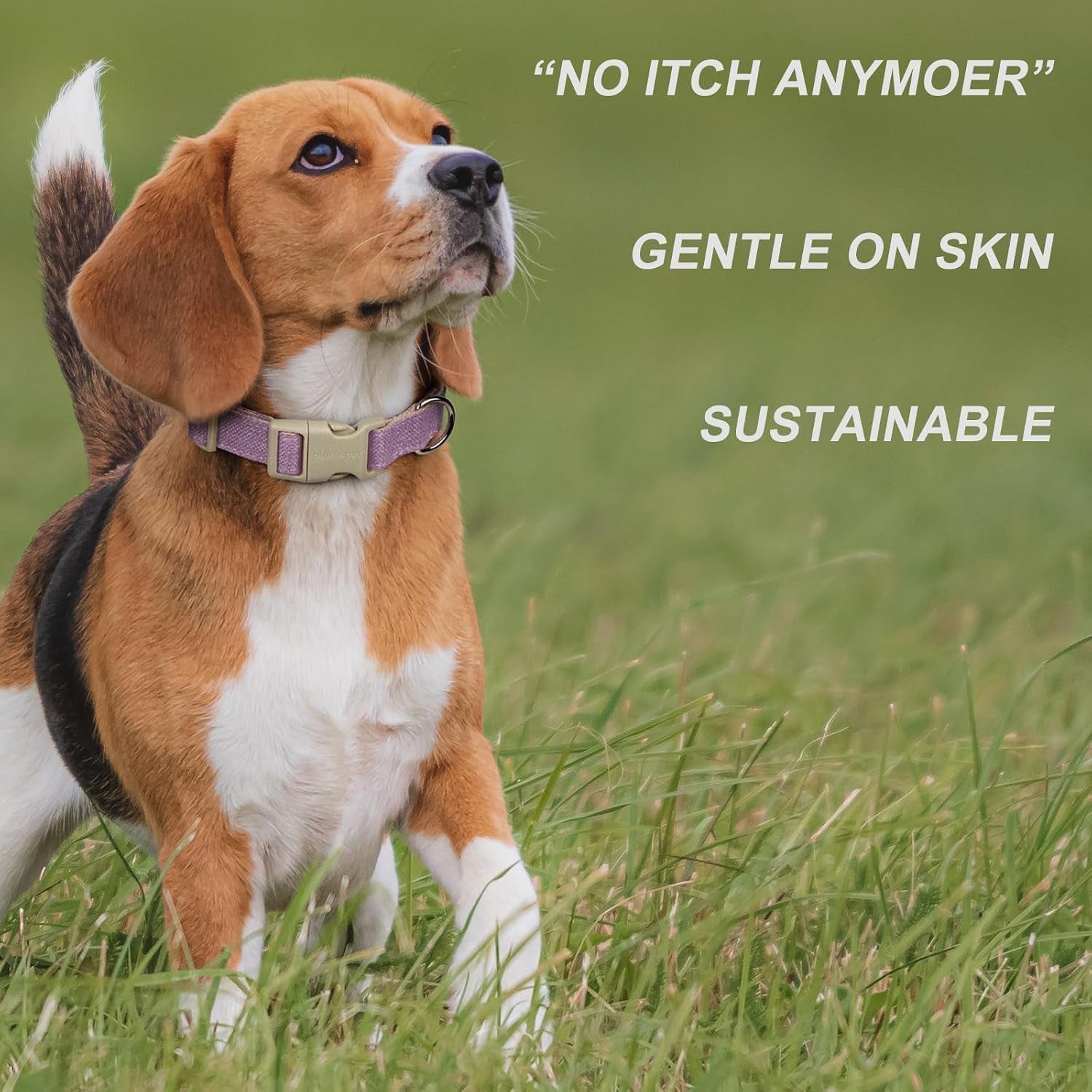 plutus-pet-cotton-hemp-dog-collar-and-leash-set-adjustable-collar-for-small-medium-and-large-dogs-heavy-duty-and-soft-on-skin-lavender-s