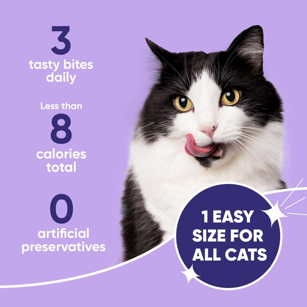 Virbac C.E.T. Intellident Cat Bites for Dental Care | Crunchy Cat Bites for Tartar Control, Supports Healthy Teeth and Gums, Chicken Flavor Bites, Cat Oral Care Hygiene6