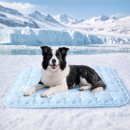 Luciphia Dog Cooling Mat, Q-MAX>0.5 Non-Slip Self-Cooling Pad for Pets | Elastic Support, Joint Protection; Q-MAX>0.5 Instant Cooling Needs No Power; Non-Slip Washable Dog Bed; Light Blue 20X301