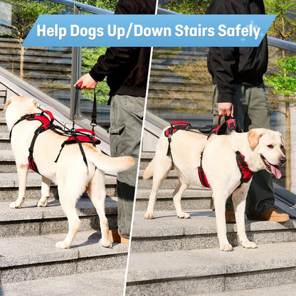 Dog Lifting Harness for Medium Dogs, Dual Handle Dog Support Harness for Daily Walking Assistance, Male Dog-Friendly, Breathable & Easy on Mobility Aid, Red, M4