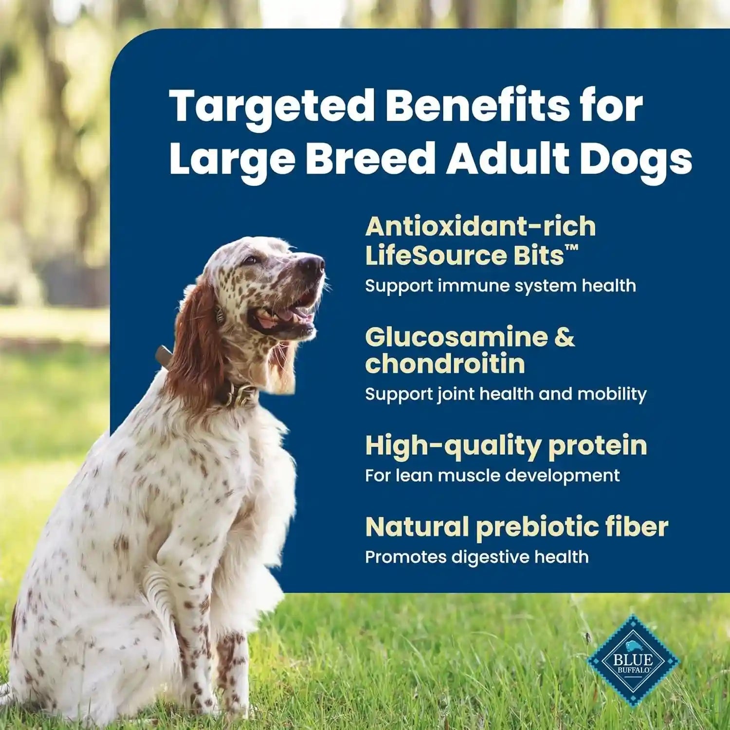 blue-buffalo-life-protection-formula-chicken-large-adult-dog-food-30-lb-real-chicken-1-ingredient-antioxidant-rich-lifesource-bits-glucosamine-supports-joint-health-mobility-in-large-breeds