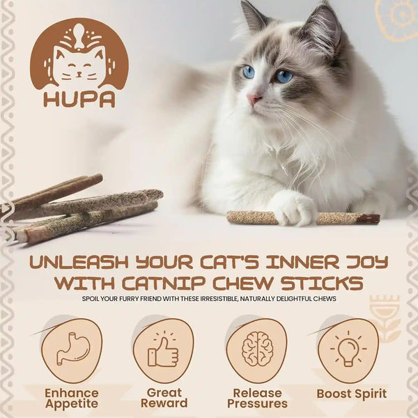 HUPA Cat Chew Sticks | Anxiety Relief & Digestive Support, Kitten Teething Chews, Cat Dental Chews | Natural Catnip Teething for Indoor Cats, Energetic Chew for All Ages & Breeds | 6 Sticks5
