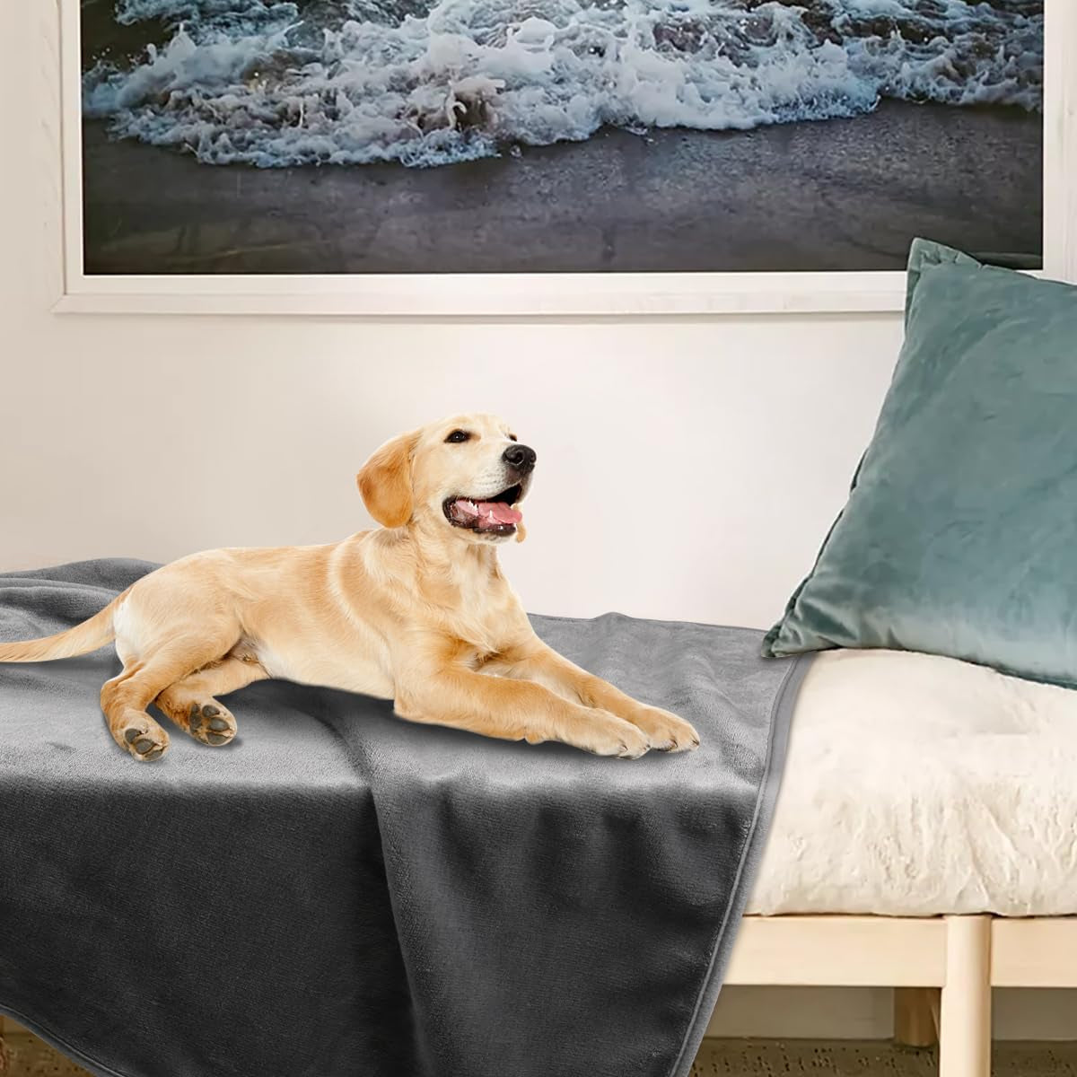 onarway-dog-blanket-washable-for-puppy-4-packs-dog-blankets-40-x28-fluffy-soft-small-throw-for-cat-puppy-kitten-dogs-fleece-pet-blankets-for-bed-sofa-car-and-indoor-grey-and-khaki