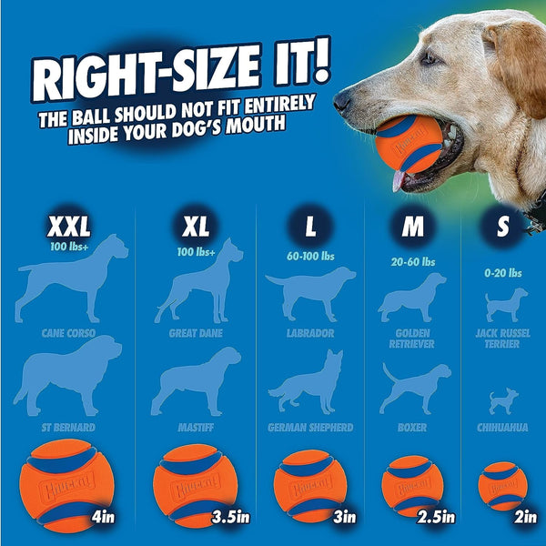 Chuckit! Pro 26L Dog Ball Launcher, 26" Length, Includes Large Ball (3") for Dogs 60-100 Pounds7