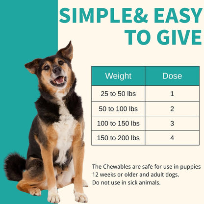 Pyrantel Pamoate and Praziquantel De-Wormer Tablet for Medium and Large Dogs, Chewable Formula4