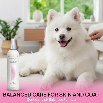Biosilk for Dogs Silk Therapy Detangling and Shine Protecting Spray, Ph Balanced Leave-In Mist with Silk and Vitamins for Dematting, Paraben-Free, All Coats and Breeds, 8 Fl Oz | Ph-Balanced, Paraben-Free Leave-In Mist with Silk and Vitamins; Dematting Spray for All Coats and Breeds10