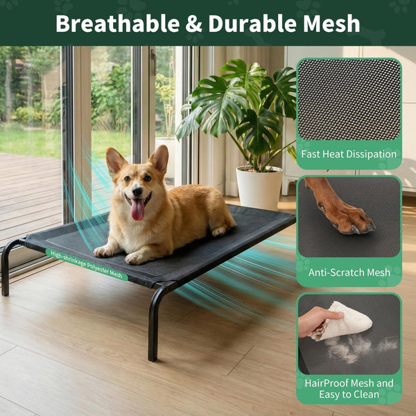 Pjyucien Raised Dog Bed with Pad, 48'' Gray6