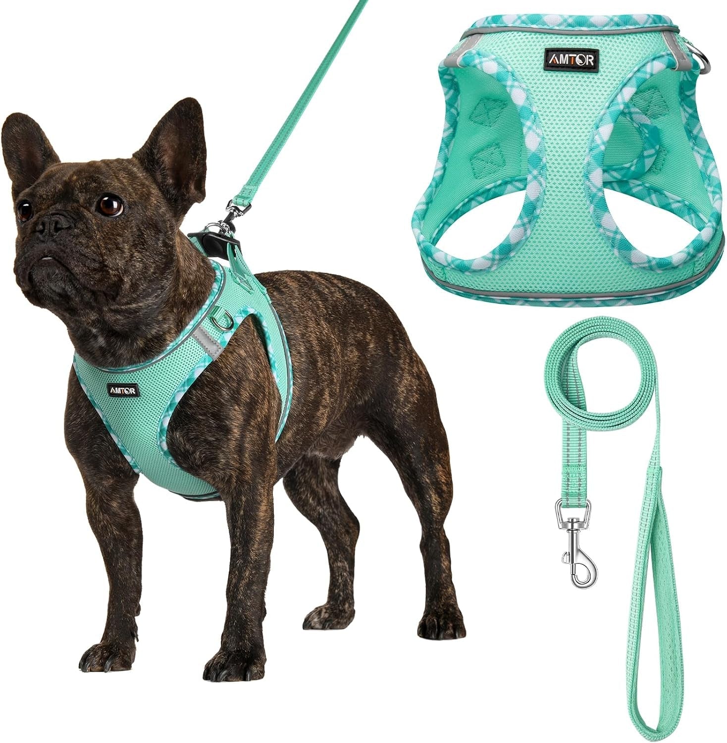 amtor-small-dog-harness-with-leash-set-no-escape-easy-walk-puppy-harnesses-for-training-walking-step-in-reflective-soft-dogs-vest-for-xs-s-medium-extra-small-large-sized-doggreen-s