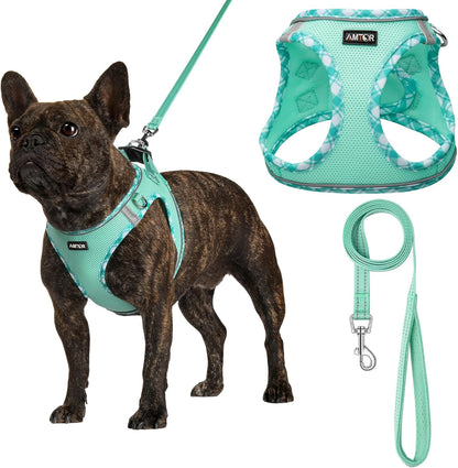 AMTOR Small Dog Harness with Leash Set, No Escape Easy Walk Puppy Harnesses for Training Walking, Step-In Reflective Soft Dogs Vest for XS S Medium Extra-Small Large Sized Dog(Green,S)19