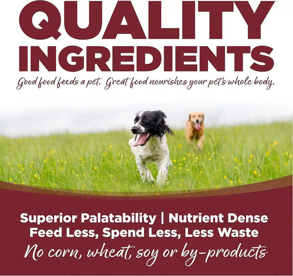 Nutrisource Adult Dry Dog Food, Beef & Rice, 26 Lb | Probiotic & Prebiotic Digestive Support, Healthy Skin & Coat, No Corn Wheat or Soy3