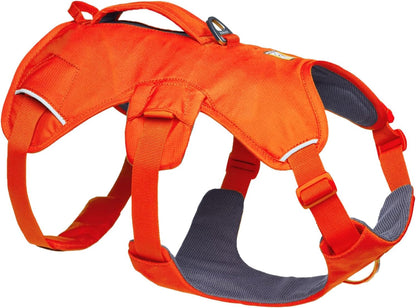 Ruffwear, Web Master, Multi-Use Support Dog Harness, Hiking and Trail Running, Service and Working, Everyday Wear, Basalt Gray, X-Small10