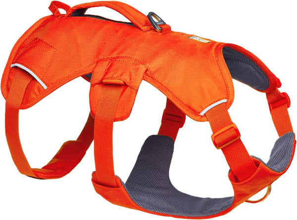 Ruffwear, Web Master, Multi-Use Support Dog Harness, Hiking and Trail Running, Service and Working, Everyday Wear, Basalt Gray, X-Small10