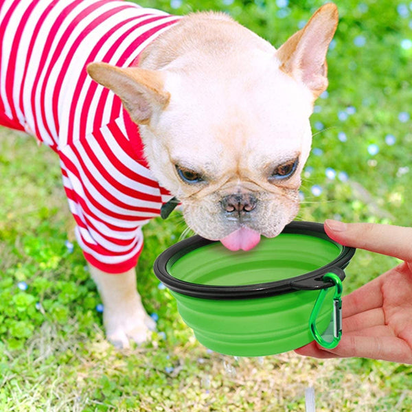Dog Bowl Pet Collapsible Bowls, 2 Pack for Cats Dogs, Portable Pet Feeding Watering Dish for Walking Parking Traveling with 2 Carabiners (Small, Blue+Green)5