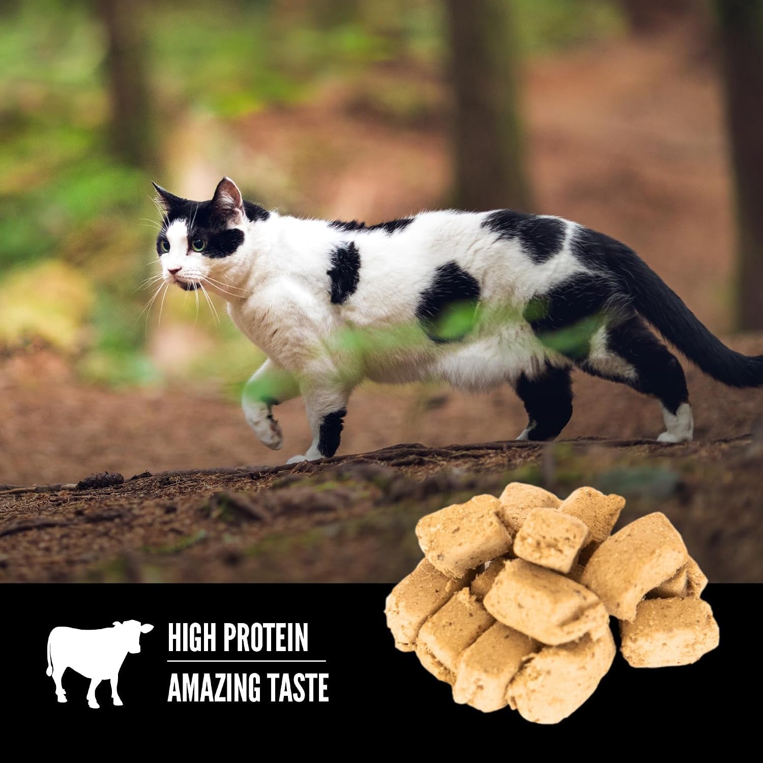 orijen-freeze-dried-cat-treats-regional-red-1-25oz-bag-99-animal-ingredients-freeze-dried-grain-free-high-protein-1-calorie-each-ideal-for-training-nutrients-locked-in