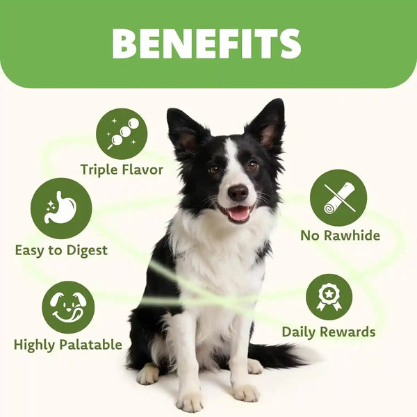 MON2SUN Dog Treats, 3 Inch Rawhide-Free Chicken, Duck & Beef Rolls,21.16 Oz | Easy-To-Digest Texture, Suitable for Small Dogs, Daily Reward Use, Made with Real Meat5
