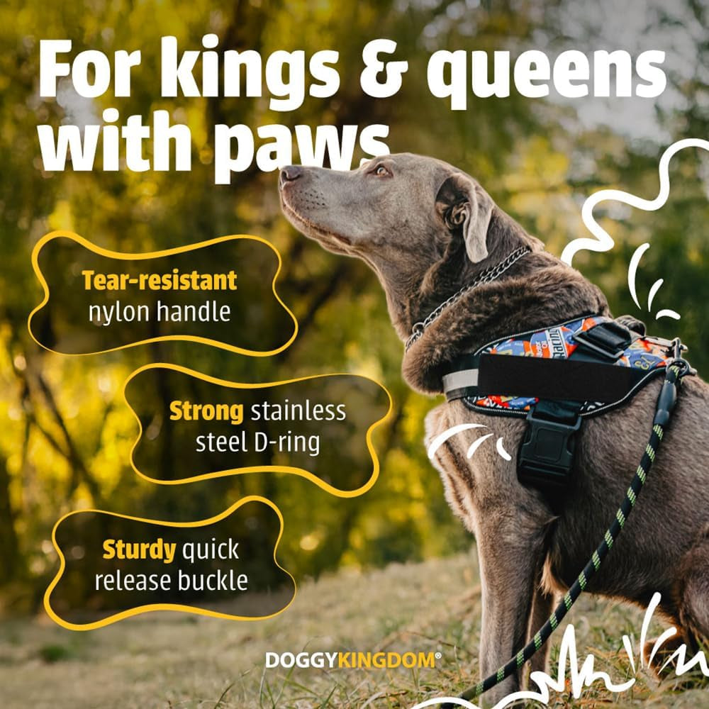 doggykingdom-no-choke-dog-harness-with-handle-and-patch-panels-adjustable-reflective-dog-vest-for-small-sized-dog-blue-s