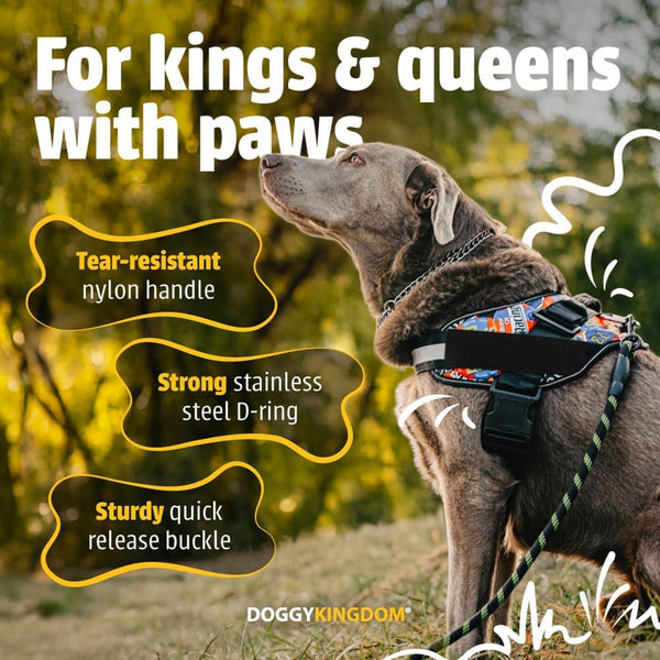 DOGGYKINGDOM No Choke Dog Harness with Handle and Patch Panels, Adjustable Reflective Dog Vest for Small Sized Dog, Blue, S5