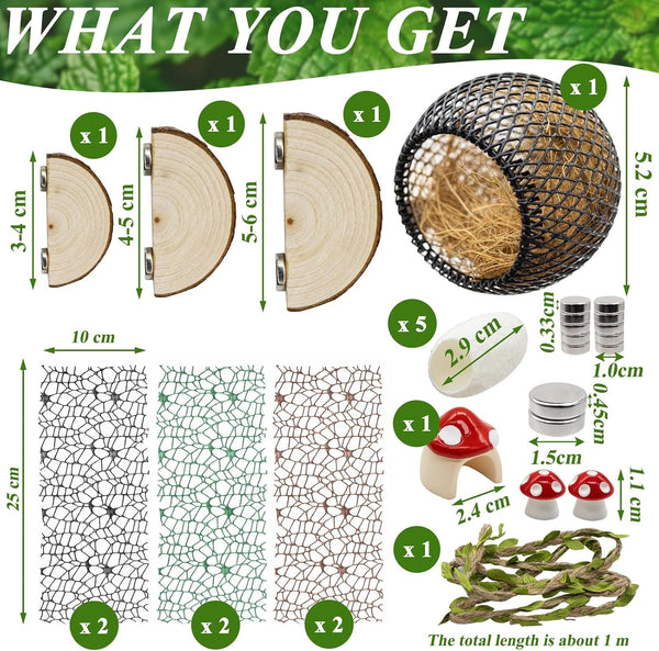 Jumping Spider Habitat Accessories Enclosure Habitat Accessories Jumping Spider Web Climbing and Feeding Platforms with Magnets for Small Insects Critters2