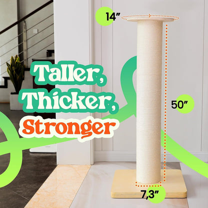 50" Tall Cat Scratching Post, Extra-Large Post for Large Cats | 36 Lb Heavy Build, Thickest 7.3 Inch Sisal Column, Wax Oiled Plywood Base, Stable for Maine Coon and Large Cats2