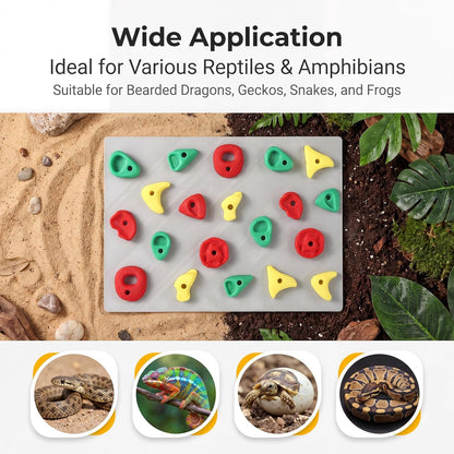 2-Pack Climbing Wall for Reptiles, Terrarium Habitat Decor | 2PCS Climbing Wall for Reptiles for Bearded Dragons, Leopard Geckos, Habitat Decor & Enrichment3