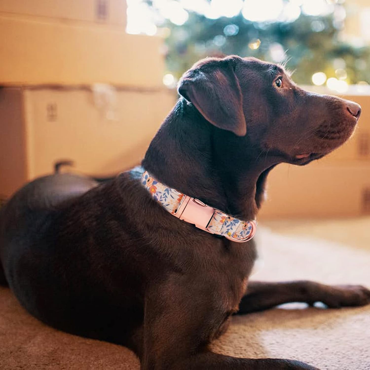 dog-collar-and-leash-set-girls-adjustable-puppy-collars-with-floral-bow-tie-for-small-medium-large-female-dogs-orange-flower-s