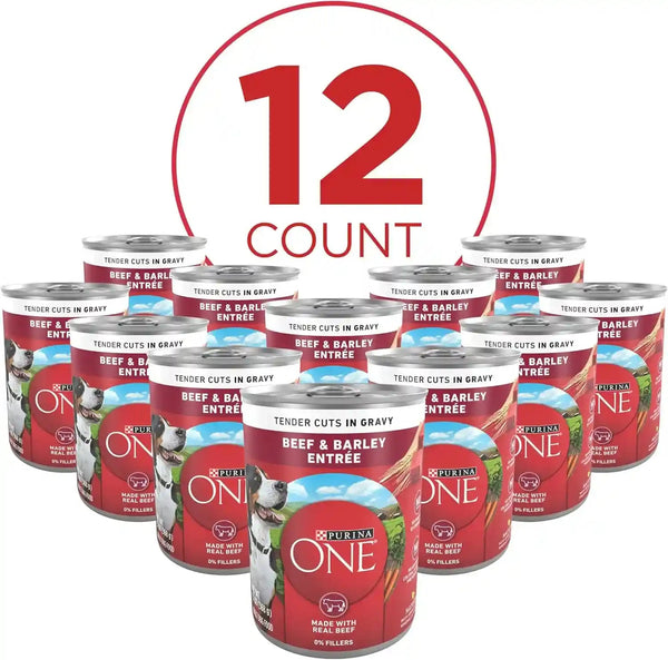 Purina ONE Natural Wet Dog Food Gravy, Tender Cuts in Gravy Beef and Barley Entrée - 13 Ounce (Pack of 12)5