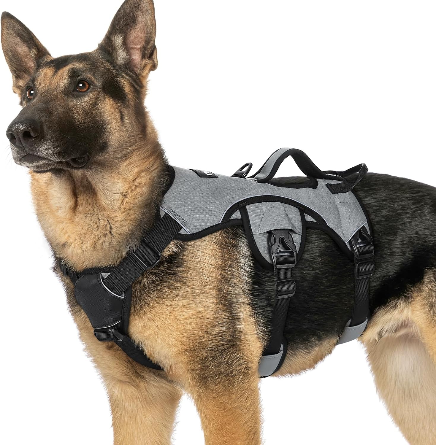 rabbitgoo-escape-proof-dog-harness-for-large-no-pull-with-lift-handle-no-escape-full-soft-padded-reflective-adjustable-vest-leash-clip-for-walking-hiking-training-black-large