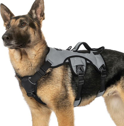 Rabbitgoo Escape Proof Dog Harness for Large, No Pull with Lift Handle | No Escape, Full Soft Padded, Reflective Adjustable Vest, Leash Clip for Walking Hiking Training, Black, Large58