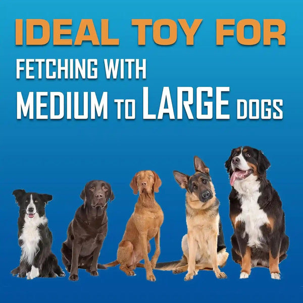 Nerf Dog Atomic Flyer Outdoor Dog Toy, 10 Inch Flying Disc Dog Fetch Toy, Rubber Dog Toy for Medium Dogs and Large Dogs, Orange7