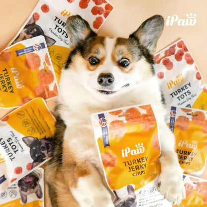 Ipaw Chicken Tots Dog Treat,Sqf-Certified Production Process,Training Treat | Puppy Training, Human Grade, Training Reward, Hypoallergenic, Easy to Digest7