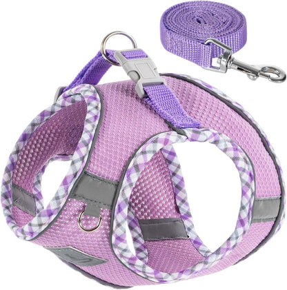Dog Harness & Leash Set - No Pull Soft Breathable Small Dog Harness, Adjustable Reflective Step-In Vest for Puppy, Kitten, Cats1