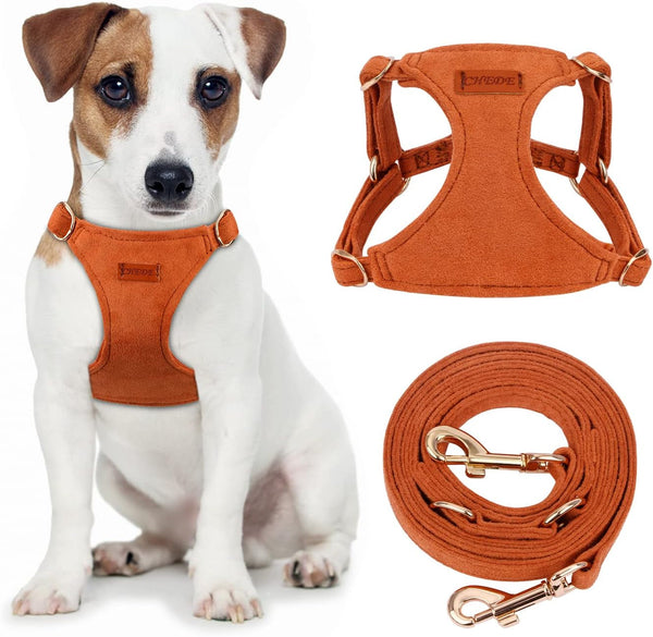 CHEDE No Pull Puppy Harness and Multifunction Dog Leash Set- 8 Colors Soft Adjustable No Choke Escape Proof Cute,Lightweight Pet Vest Harness for Small and Medium Dog…19