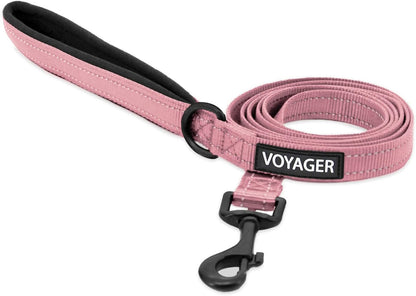 Best Pet Supplies Voyager Nylon Dog Leash - Fuchsia, Small | 5Ft in Length, 5/8" in Width, Reflective, Soft Neoprene Handle, Heavy Duty Metal Clips for Running, Walking & Training21