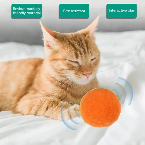 Premium Soft Pom Pom Balls for Kittens - Lightweight, Interactive, Assorted Colors - Plush Toy for Kitten Training and Play - Pet Products for Cats (1.2 Inches 30 Balls)8