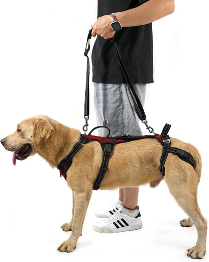 COODEO Mobility Dog Lift Harness, Support Sling & Walking Sling for Dogs, Pet Rear Leg Rehabilitation Support Vest, Dog Carrier for Senior Dogs with Joint Injuries, Arthritis, up Stair (Black, L)9