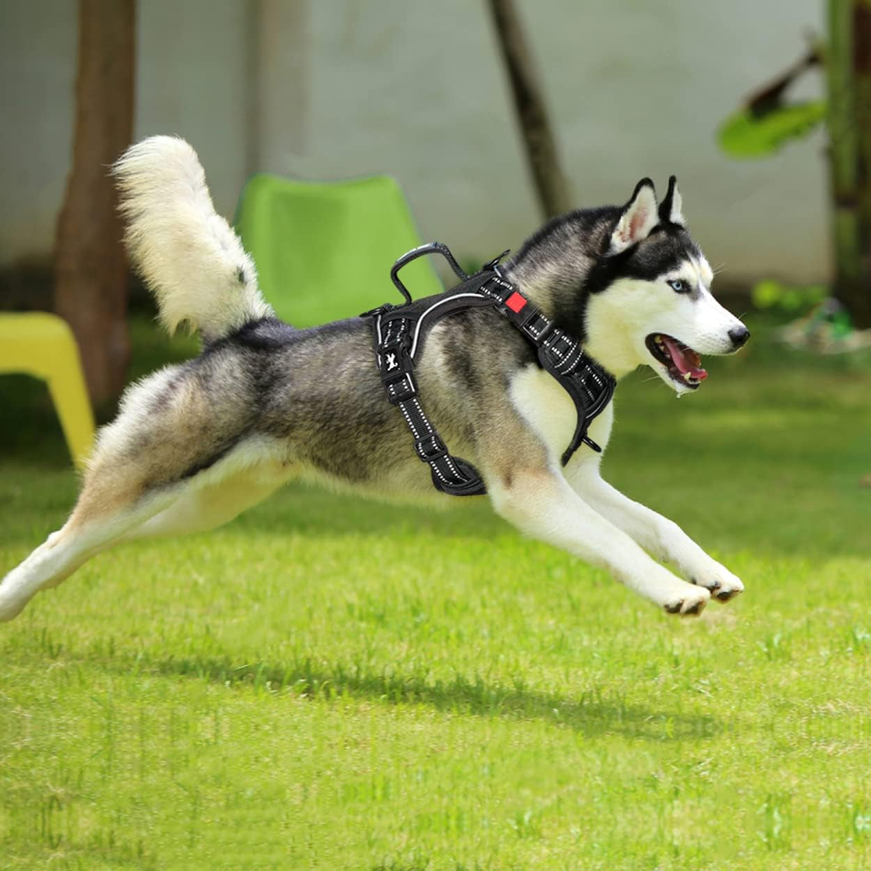poypet-no-pull-dog-harness-no-choke-front-clip-reflective-dog-vest-with-soft-padded-vertical-handle-3-leash-attachments-for-small-medium-large-dogs-black-xl