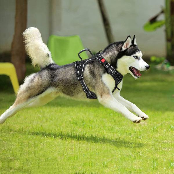 Poypet No Pull Dog Harness, No Choke Front Clip Reflective Dog Vest with Soft Padded Vertical Handle, 3 Leash Attachments for Small Medium Large Dogs (Black,Xl)3