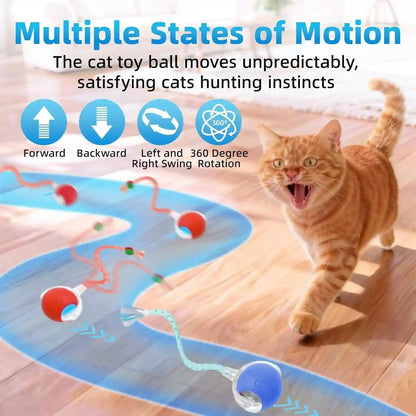 Interactive Cat Toys for Indoor Cats, Automatic Kitten Toys for Bored Indoor Adult Cats, Smart Kitten Rolling Ball Moving Balls Toy, Rechargeable Dog Cat Ball for Enrichment Exercise (Red+Blue)2