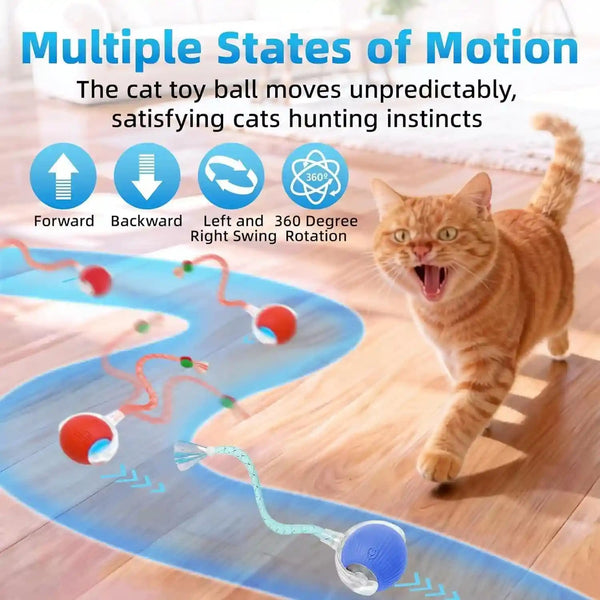 Interactive Cat Toys for Indoor Cats, Automatic Kitten Toys for Bored Indoor Adult Cats, Smart Kitten Rolling Ball Moving Balls Toy, Rechargeable Dog Cat Ball for Enrichment Exercise (Red+Blue)2