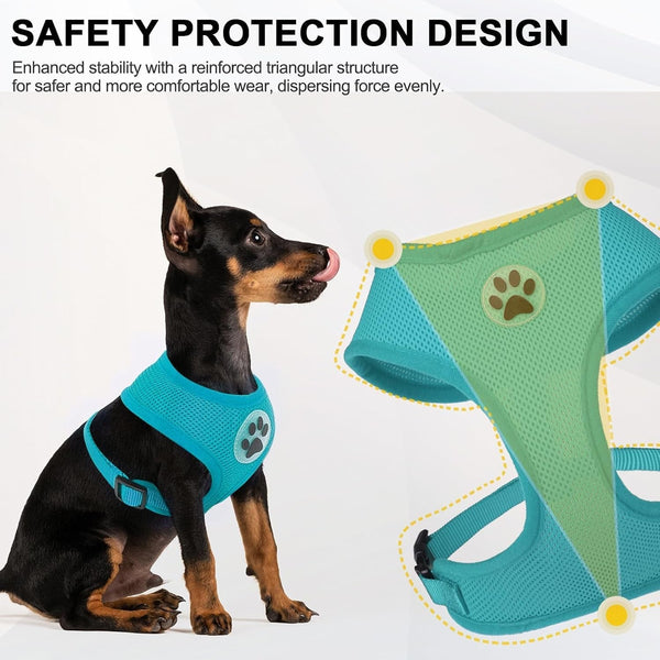 BINGPET Small Dog Harness, No Pull Dog Harness Small Sized Dogs, Soft Light Breathable Mesh Puppy Vest with Safety Buckle-Adjustable Step in Pet Harnesses for Easy Walking, Running, Training3
