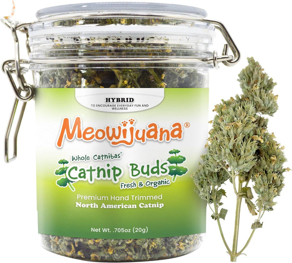 Meowijuana Catnibas Catnip Pawty Mix Jar | High Potency Catnip Blend | Organic Hand-Harvested North American Catnip Blend for Cats; Fine-Ground for Toys, Beds & Scratchers; Play or Calm9
