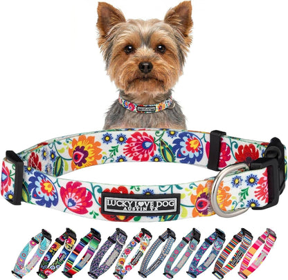 Lucky Love Dog - Easy Click Buckle Dog Collar with Leash Set Combo, Durable & Comfortable for Male & Female Dogs, Pet Collar for Medium Dogs, Secure Fit - Blackbird Combo, Medium10
