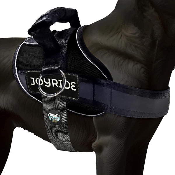 Joyride Dog Harness 2.0 | No-Pull | Blue 2.0 | M | Reflective No-Choke Quick-Fit Vest with 3 Leash Clips and Escape-Resistant Design for Easier Walks and Training17