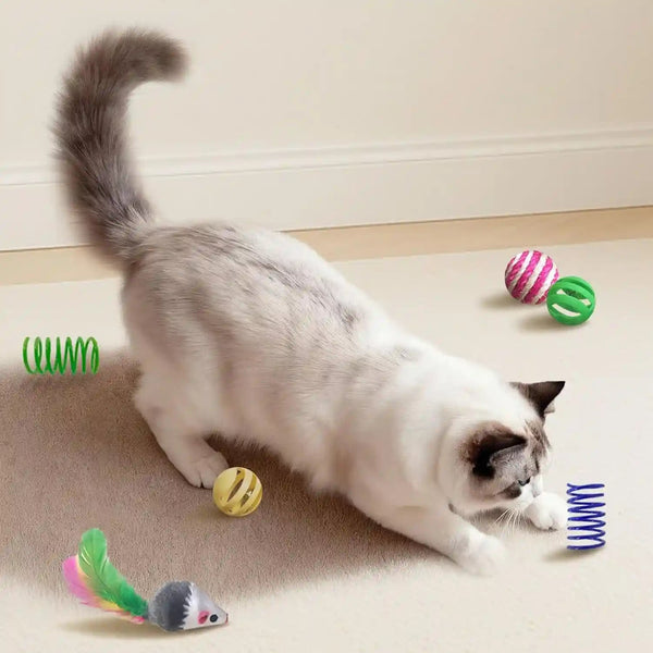 Cat Toys for Indoor Cats, 34 Pack Interactive Cat Toy Set for Kitten | Kitten Toys Variety Pack with Chew Toy, Spring, Mouse & Ball, Ideal for Enrichment, Boredom Relief and Self Play, Toy Bulk6